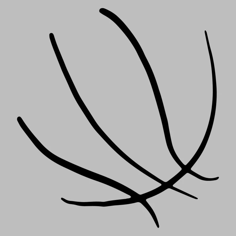 Basketbäll 05 Zeichenfläche 5