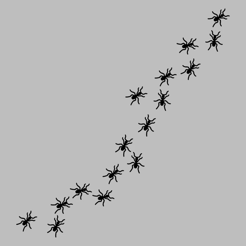Ants