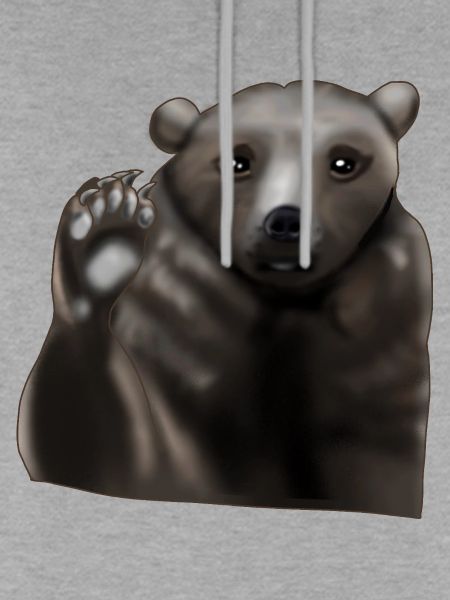 Braunbär