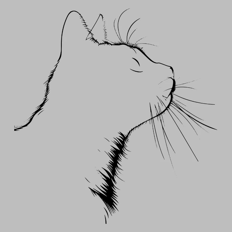 Chat, Motif De Chat