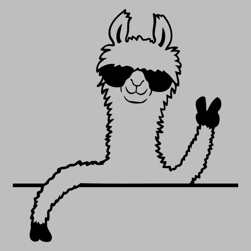 Lunettes de soleil Lama Comic