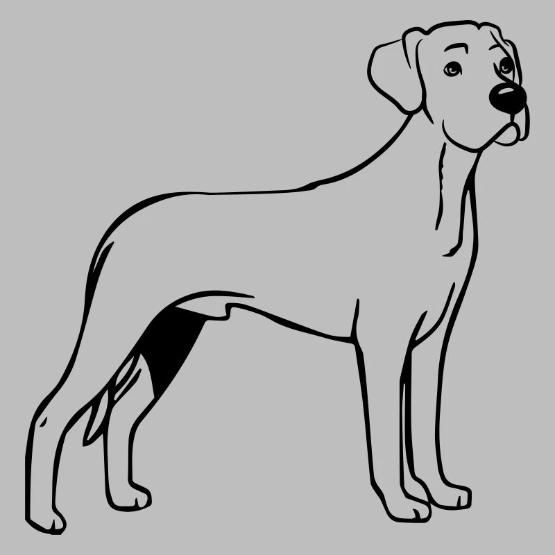 Hund Rhodesian Ridgeback