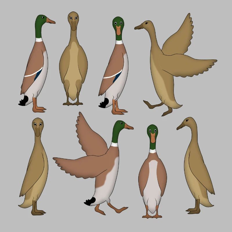 Sélection de canard en cours d’exécution