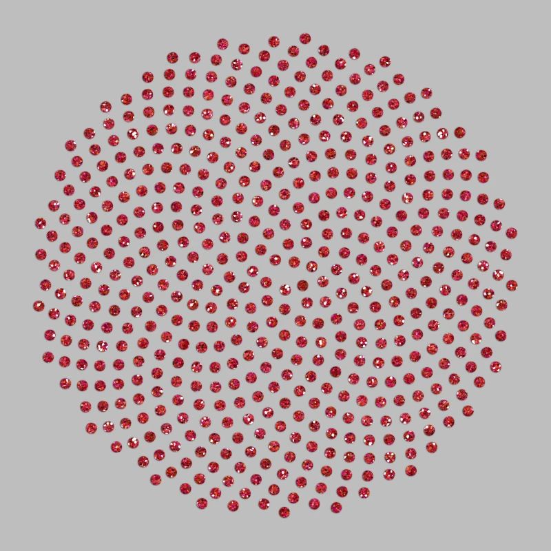 Fibonacci Mathematik Sonnenblume Phi Spirale Mathe