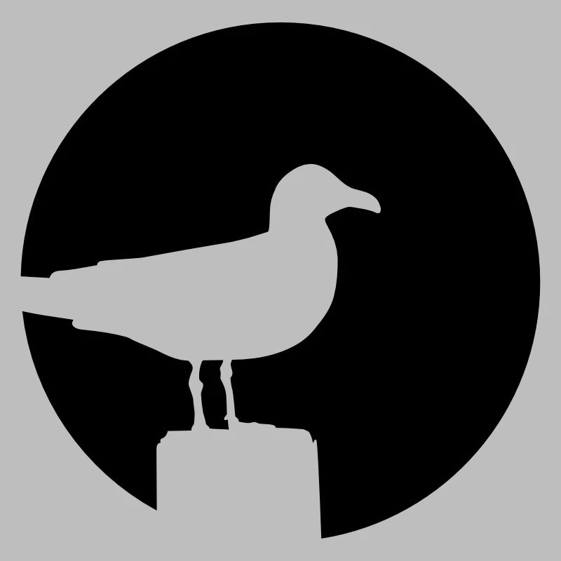 Möwe