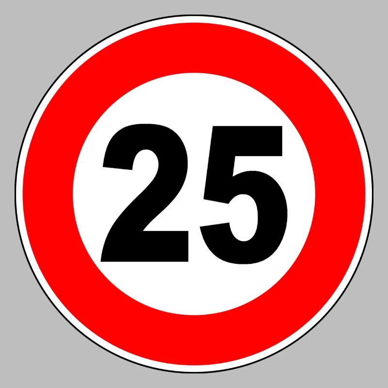 25. Geburtstag - 25 - Feier - Straßenschild