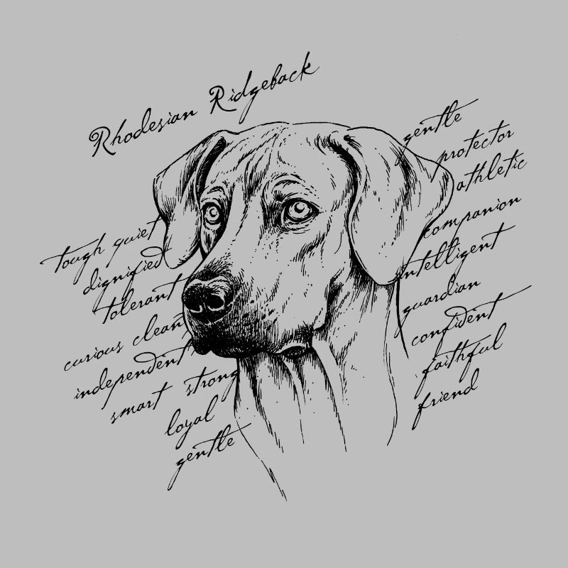 Rhodesian Ridgeback