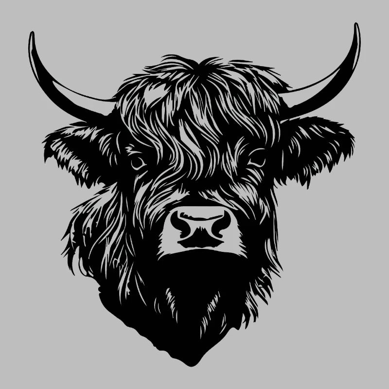 Vache écossaise des Highlands