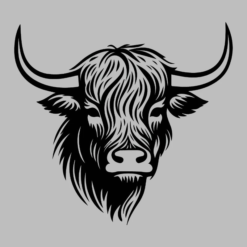 Vache écossaise des Highlands