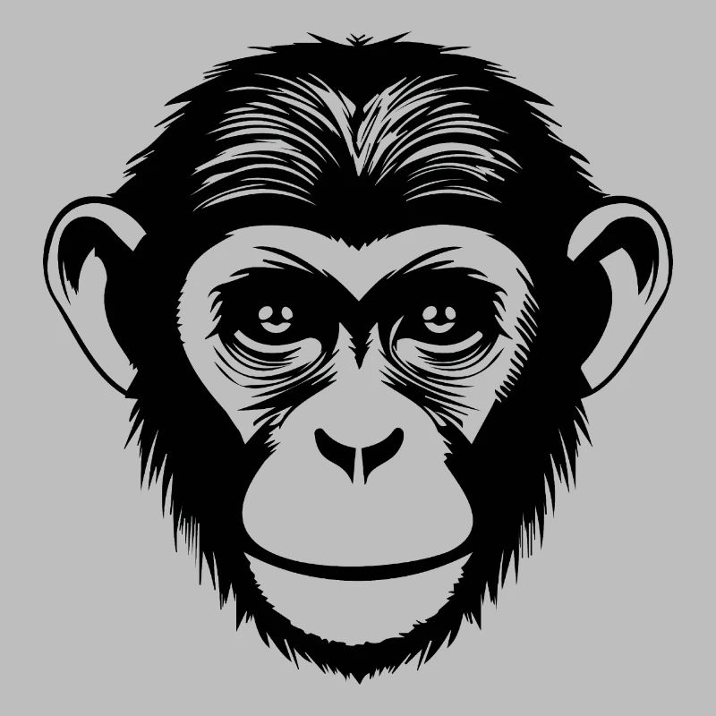 Affe Affen Affengesicht Dschungel
