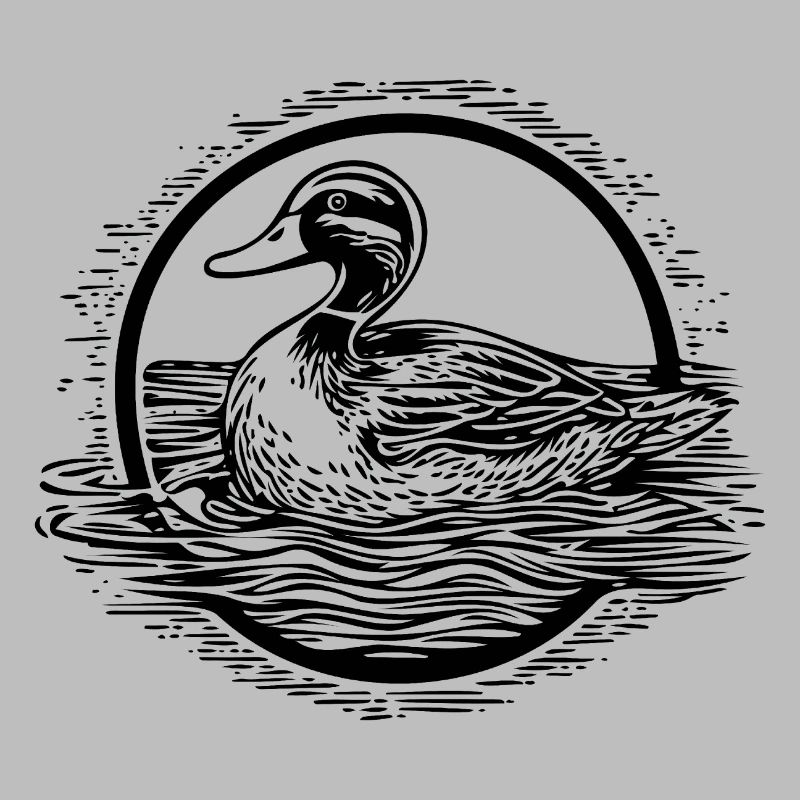 Canard Oiseaux Canards