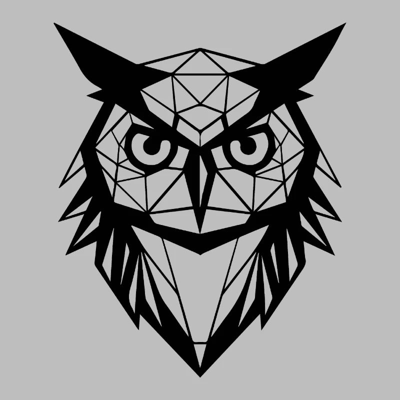 Eule Eulen Vogel Vögel