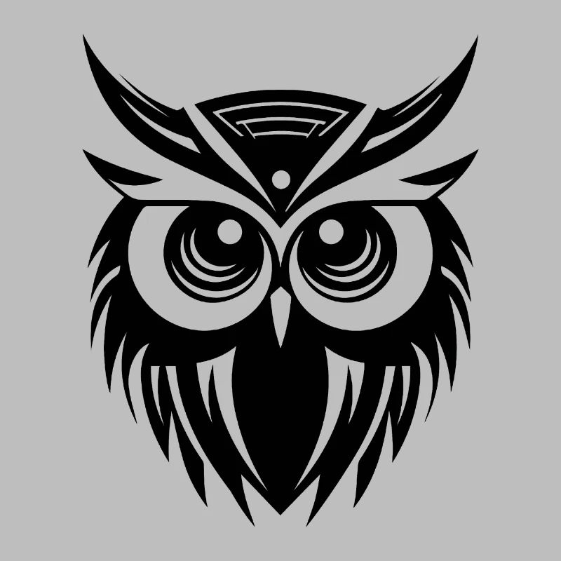 Eule Eulen Vogel Vögel