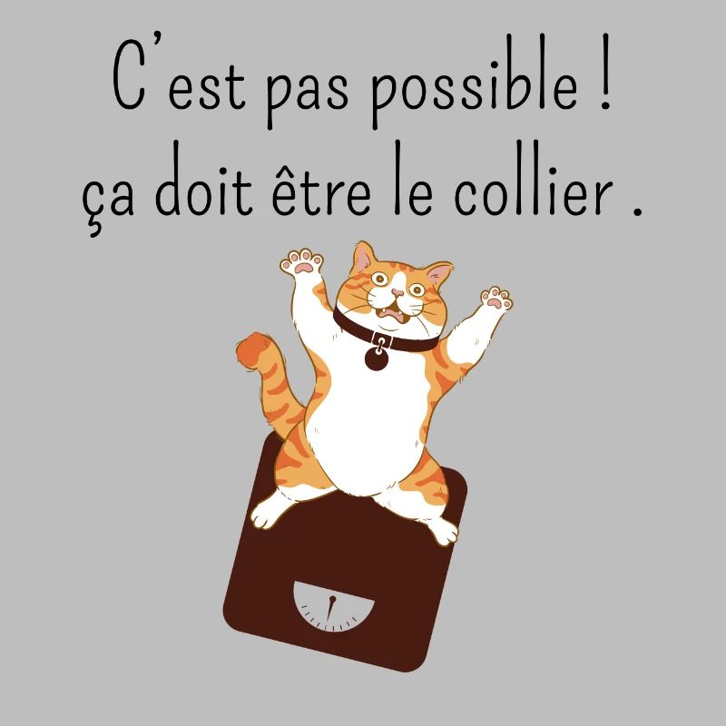 Ça doit être mon collier -humour perte de poids