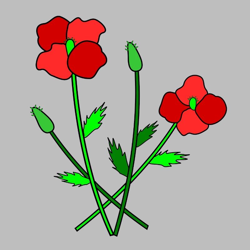 Blühender Mohn