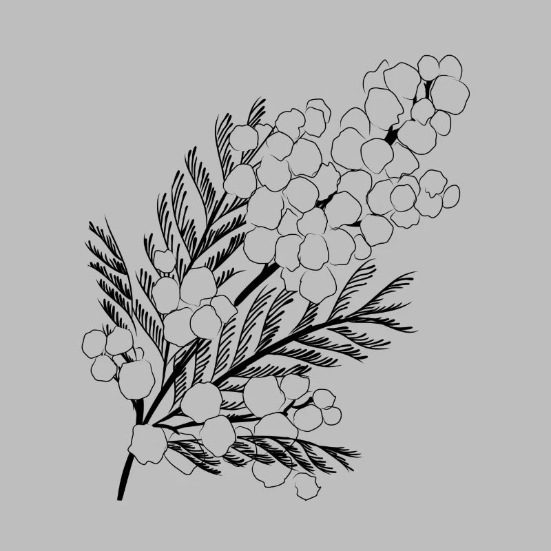 Mimose