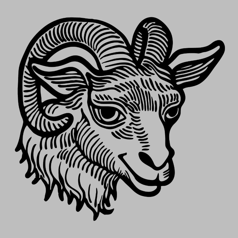 Steinbock Ziege