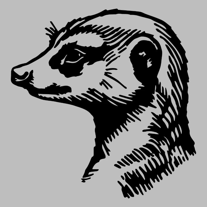 Suricate