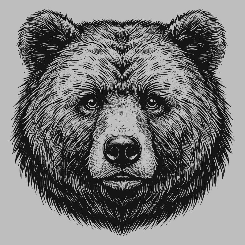 Bär