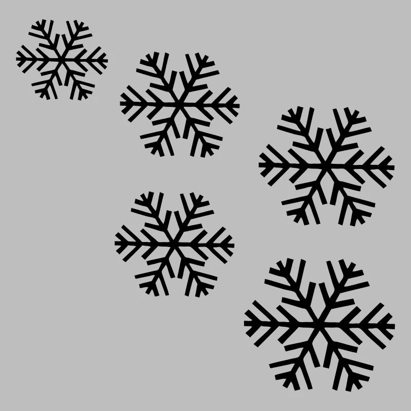 neige flocon de neige