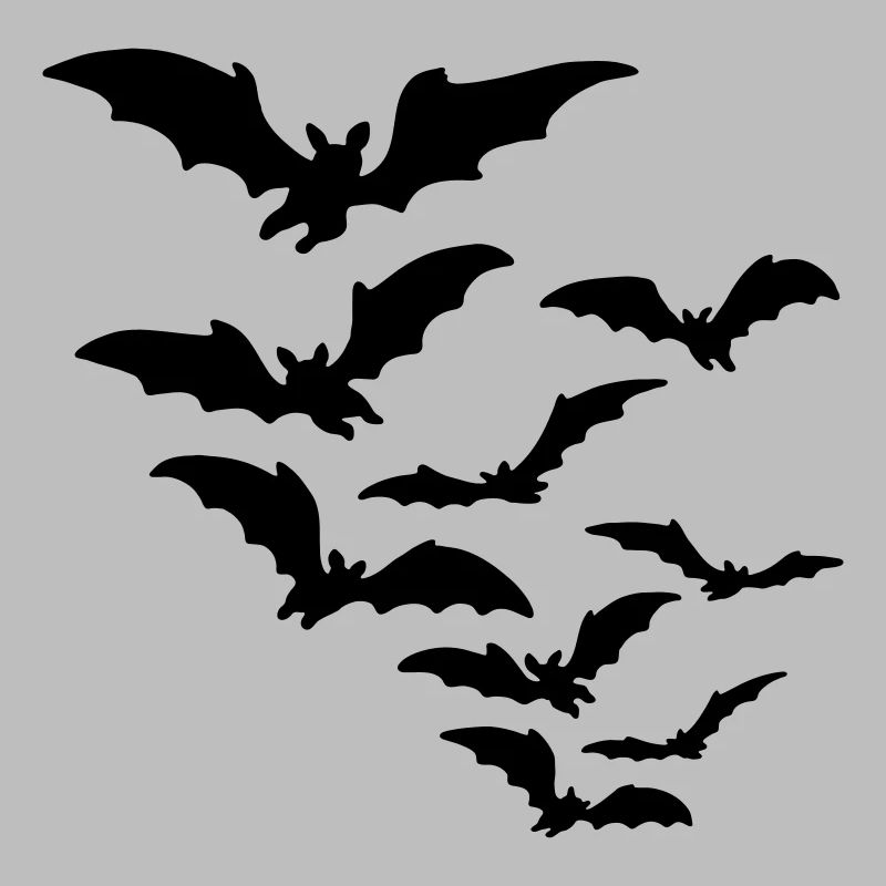 fledermaus