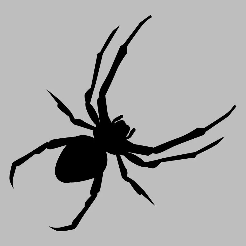 Spinne