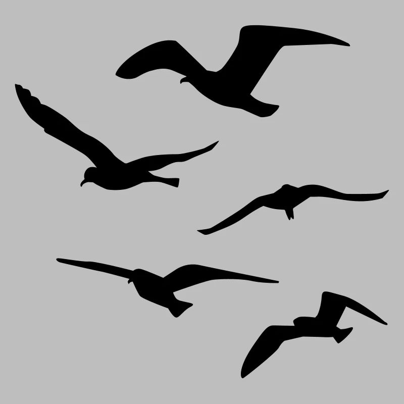 Seagull