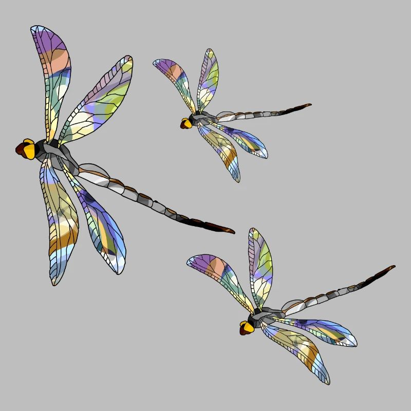 Libellules