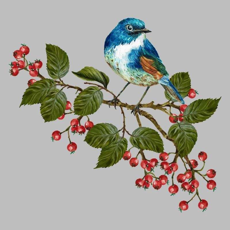 Oiseau coloré