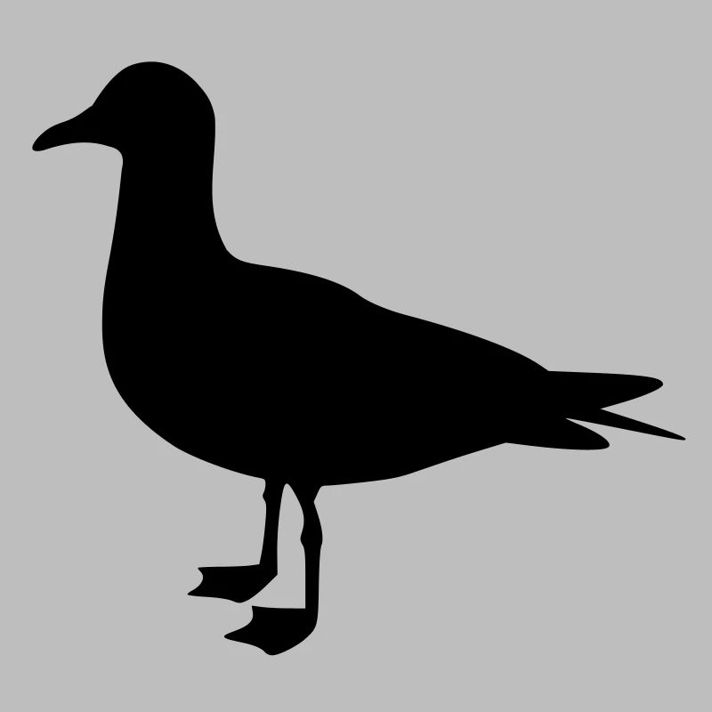 Seagull