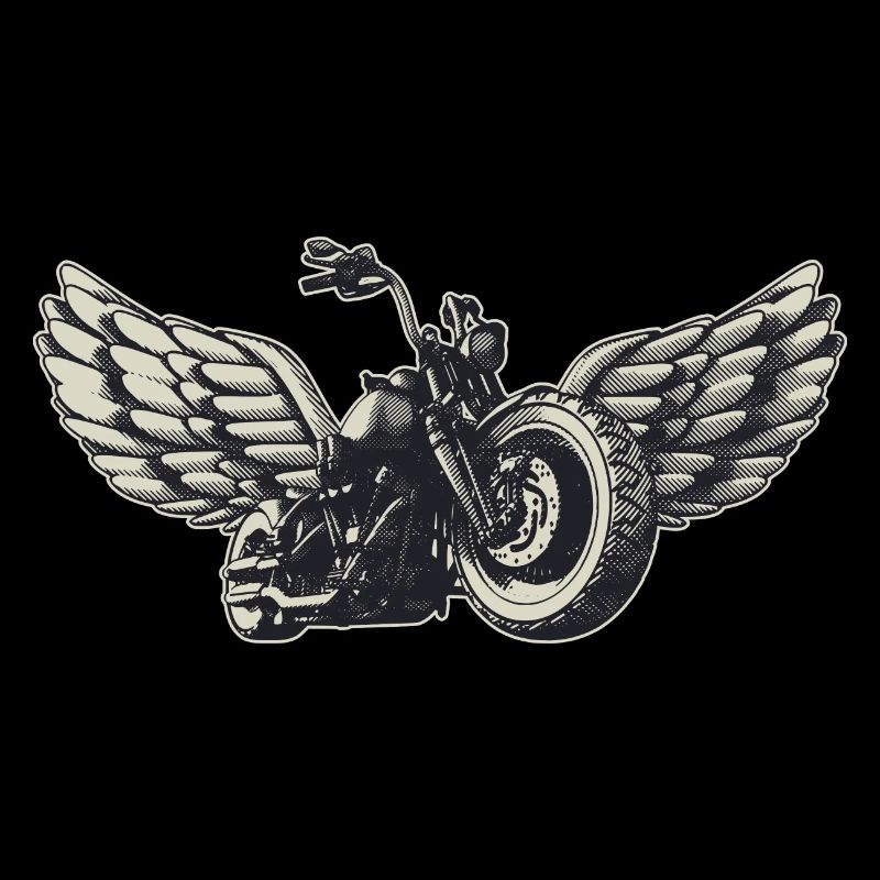 Motorcycle with wings