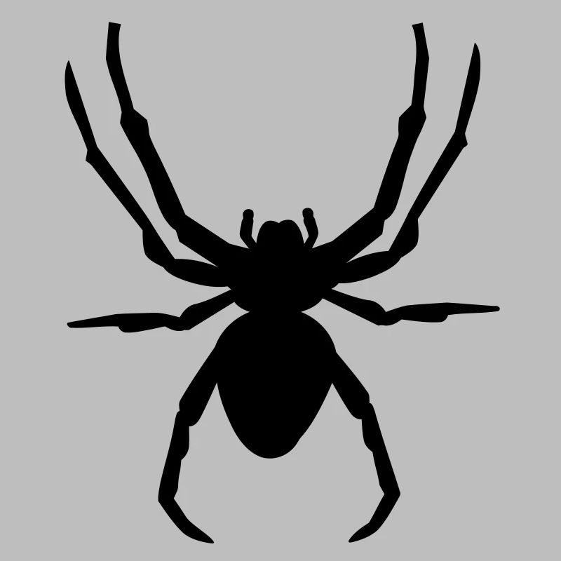 Spinne