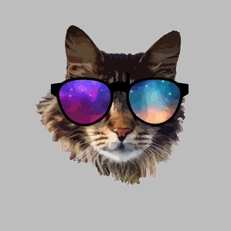 chat