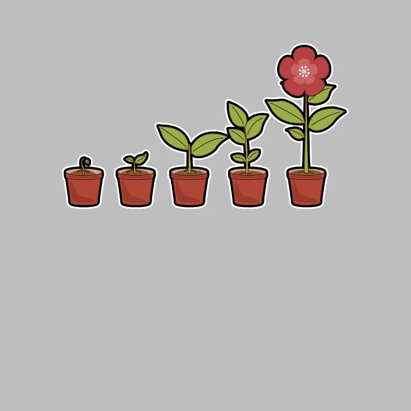 Evolution einer Blumen im Topf blühend