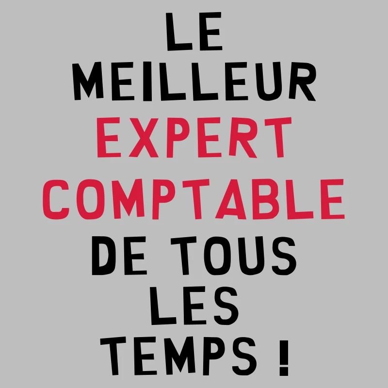 Expert Comptable / Comptabilité / Comptable /