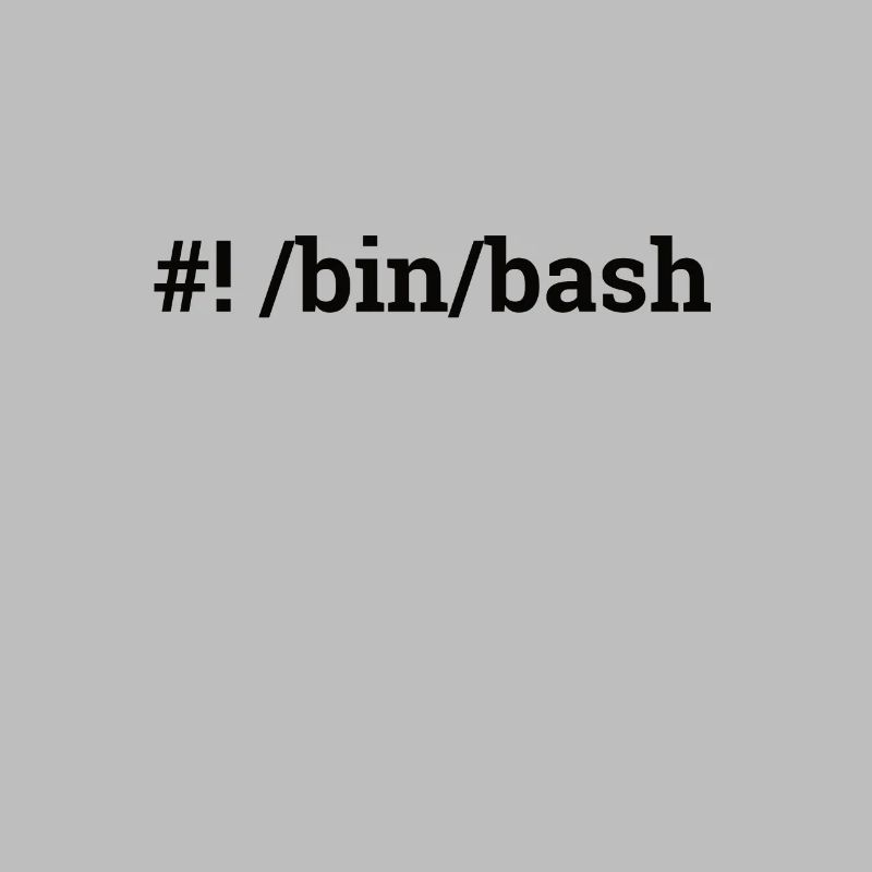 "/bin/bash" | Admin, Computer Science