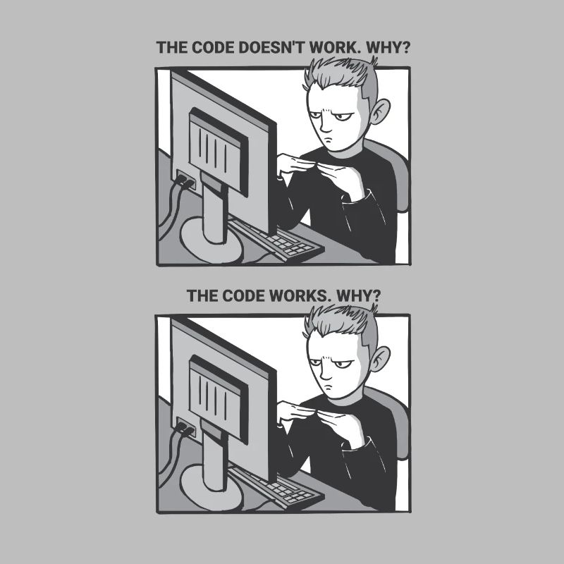 "My Code Works. WHY?" | Programmierer