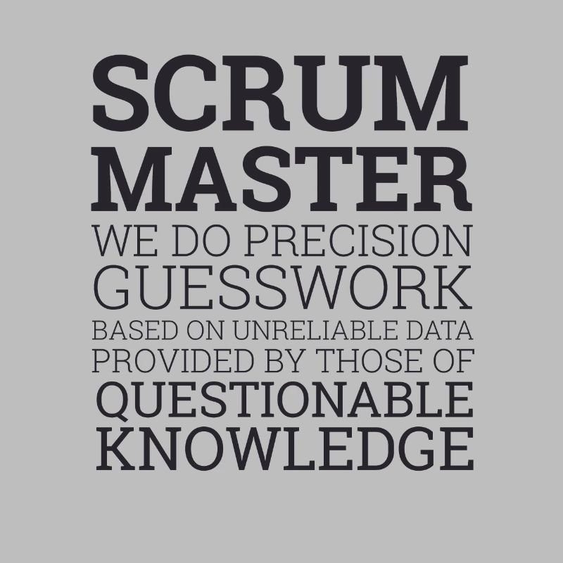 « Scrum Master » | Scrum Master