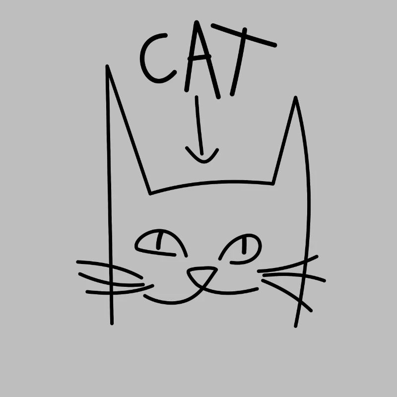 Chat Chat cool chat