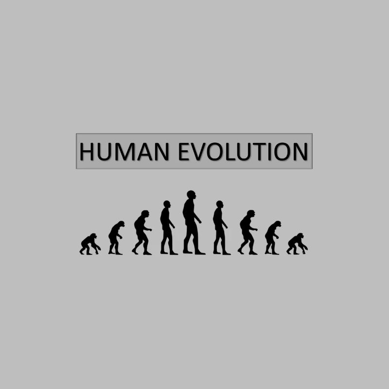 Human Evolution Funny Design