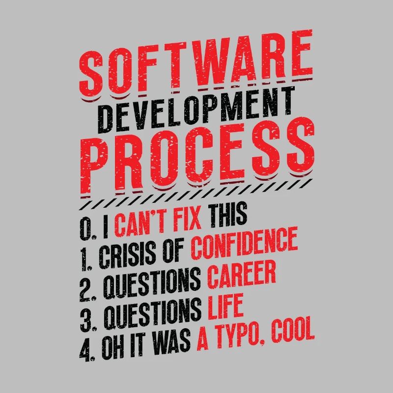 Software development process, programming