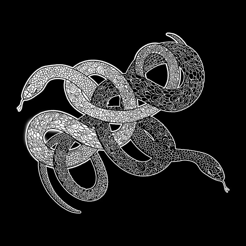 Schlangen Geschenk python anaconda snake