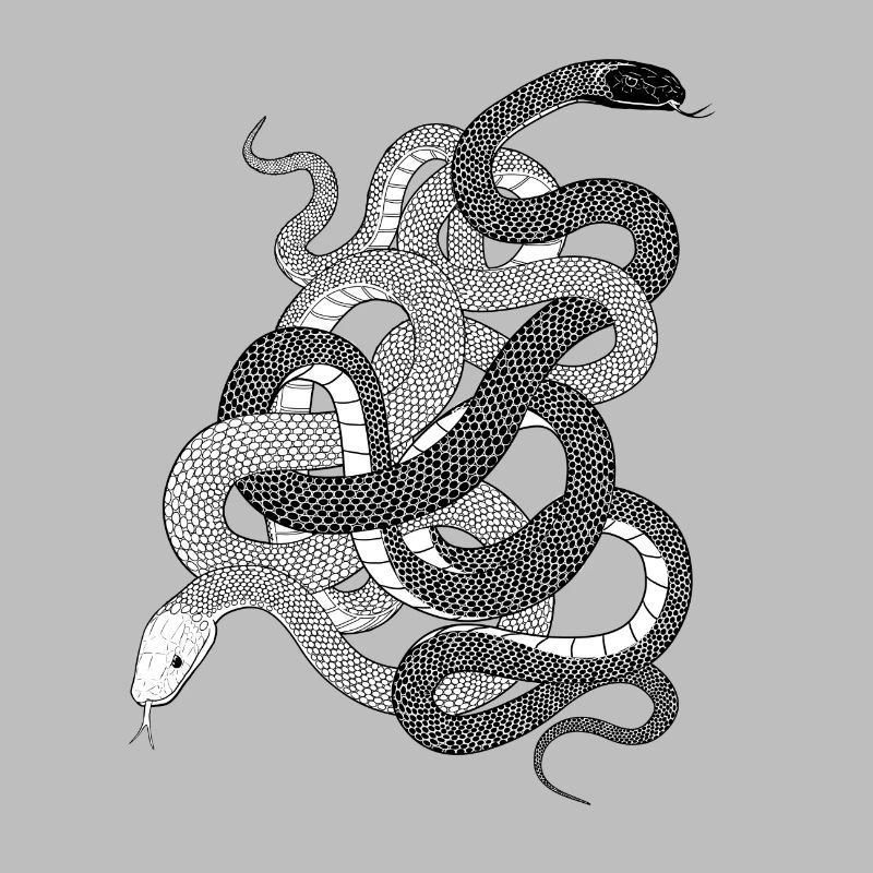 Schlangen Geschenk python anaconda snake