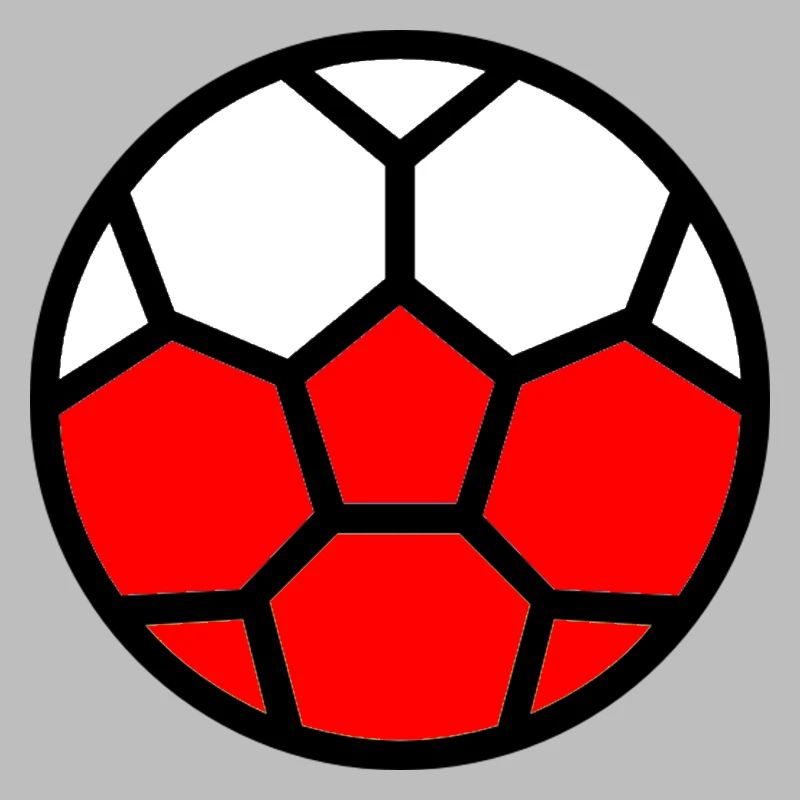  Drapeau Pologne Coupe du monde