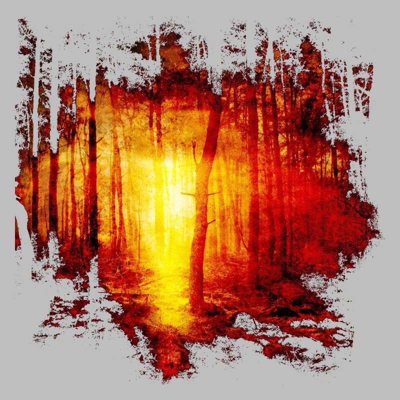 Nature forest trees sunbeam sun gift idea