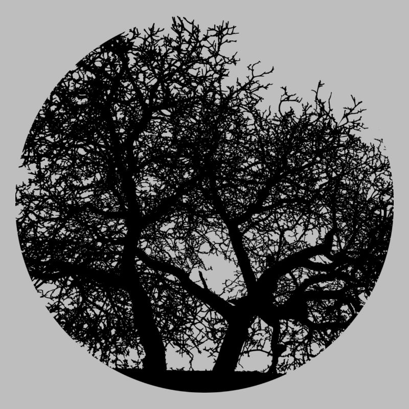 Baum