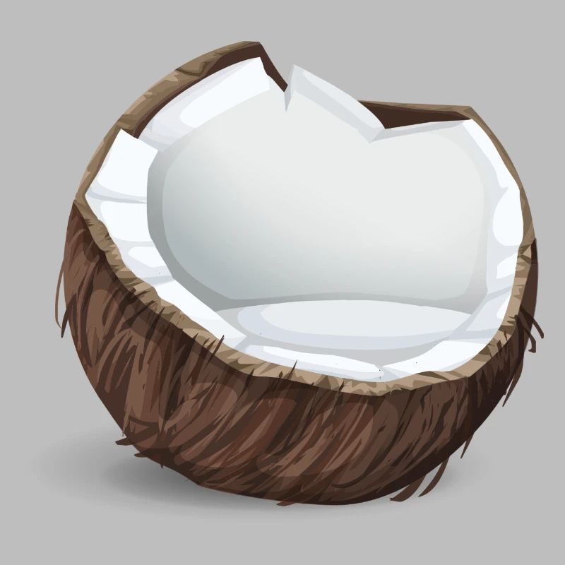Noix de coco - Idée de cadeau tropical