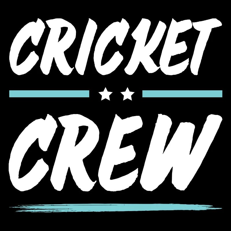 Équipe de cricket