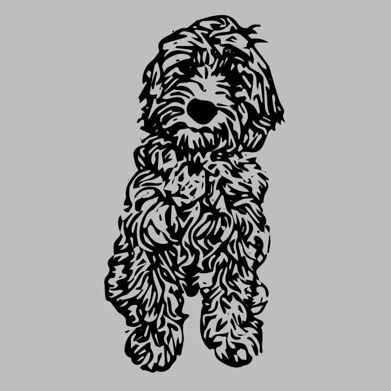 cockapoo