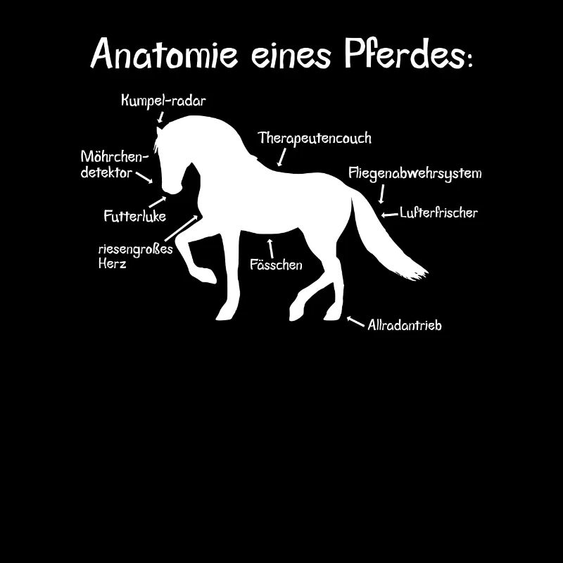 Anatomie eines Pferdes